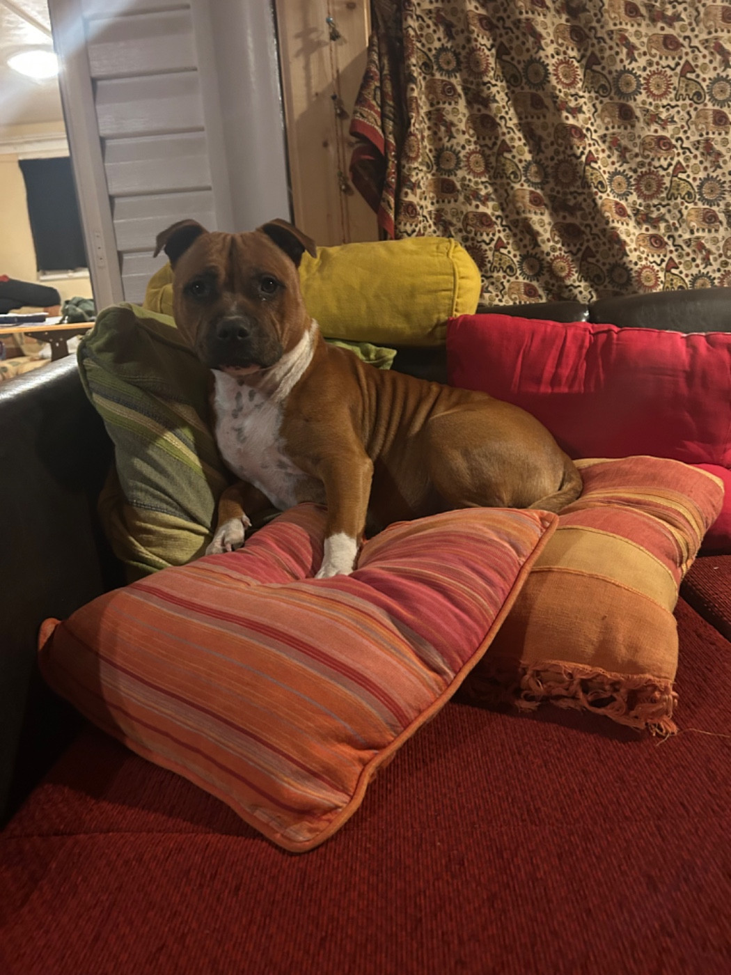 U-Caly De La Tendre Puissance